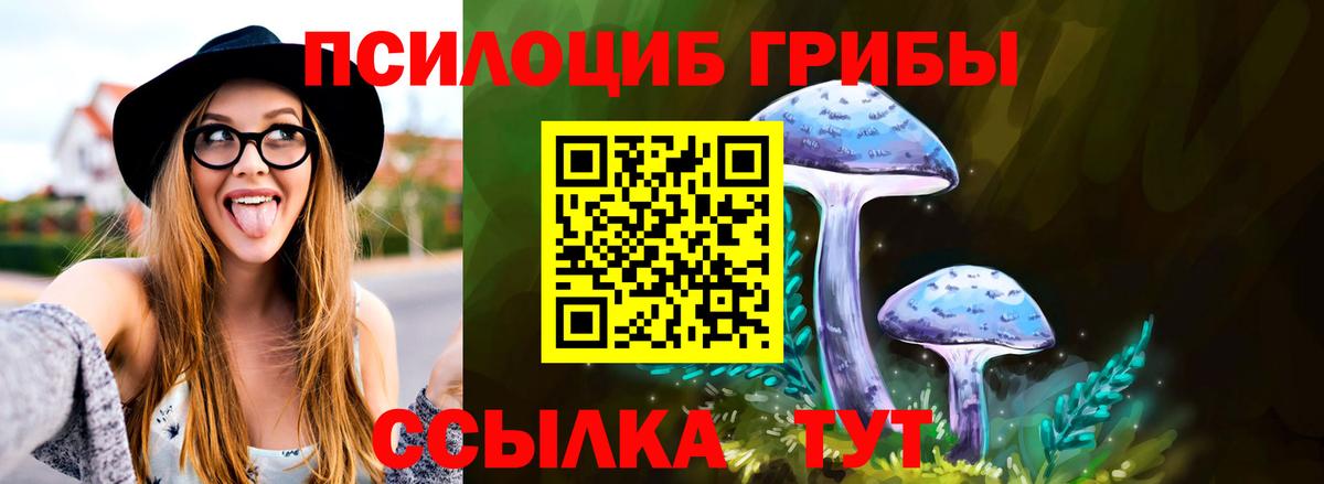 Галлюциногенные грибы Psilocybe  Вход с VPN  Псилоцибиновые грибы MAGIC MUSHROOMS  Старая Купавна 